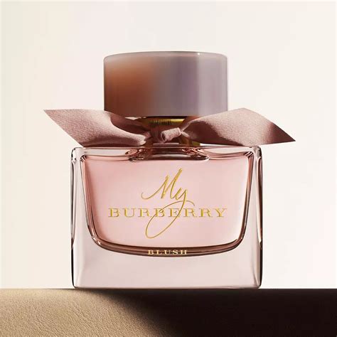 top rated burberry perfume|best burberry perfumes women's.